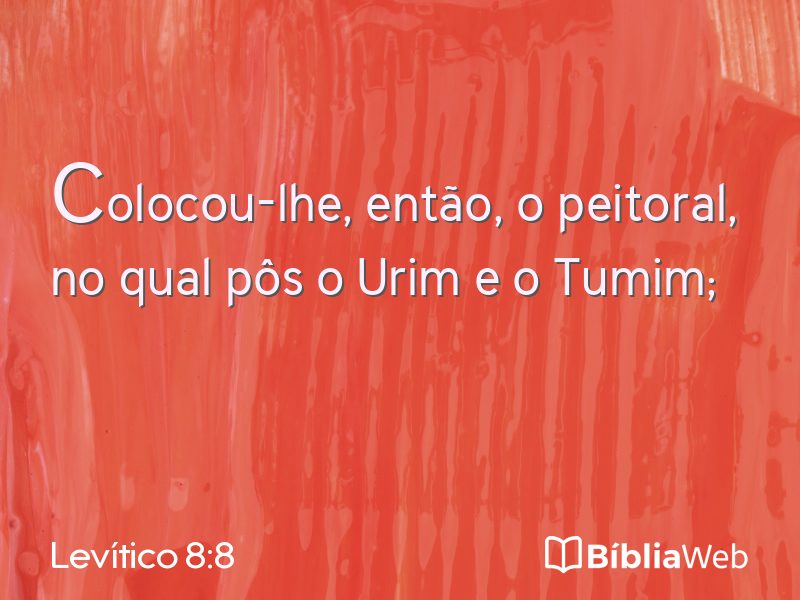Levítico 8:8 em imagem para compartilhar