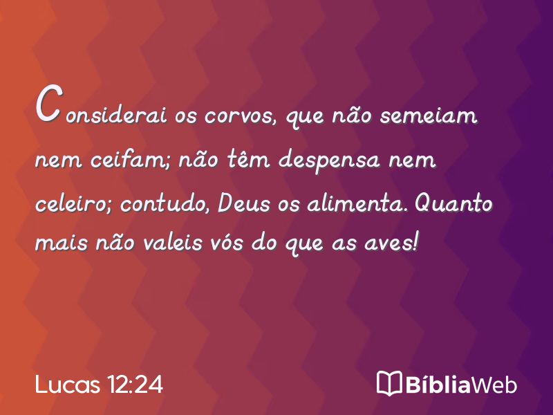 Lucas 12:24 em imagem para compartilhar