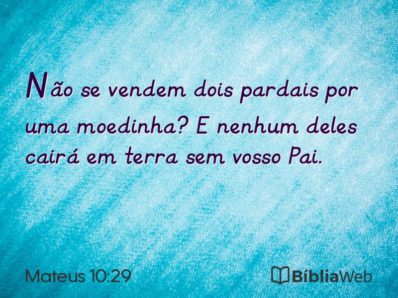 Mateus 10:29 em imagem para compartilhar
