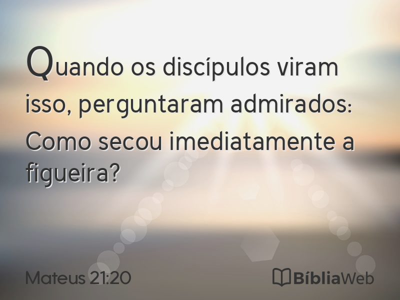 Mateus 21:20 em imagem para compartilhar