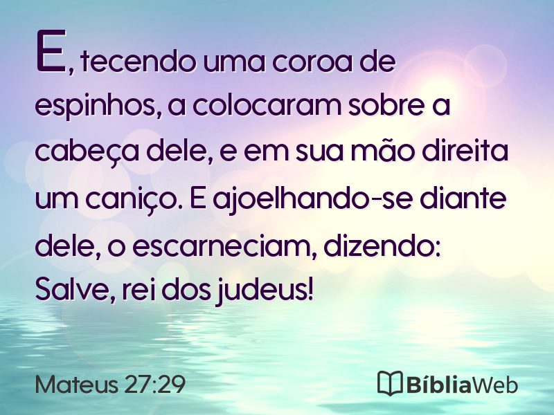 Mateus 27:29 em imagem para compartilhar