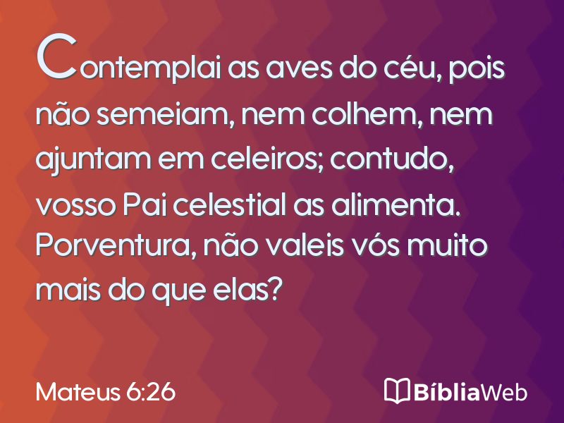 Mateus 6:26 em imagem para compartilhar