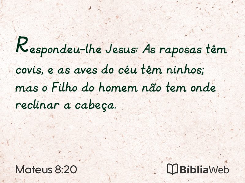 Mateus 8:20 em imagem para compartilhar