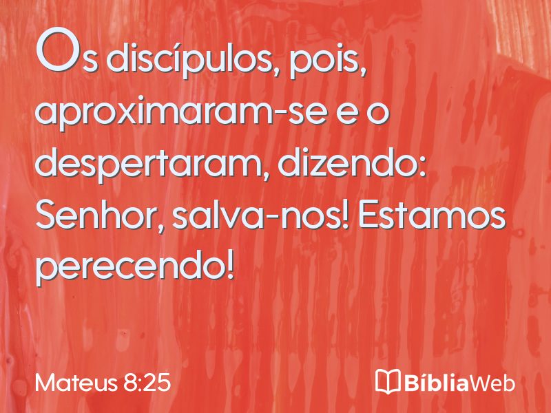 Mateus 8:25 em imagem para compartilhar