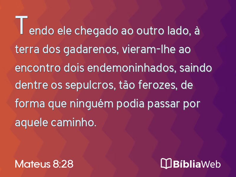 Mateus 8:28 em imagem para compartilhar