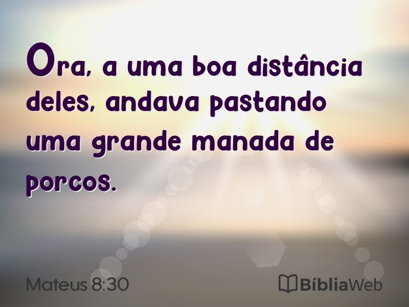 Mateus 8:30 em imagem para compartilhar