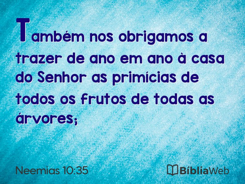Neemias 10:35 em imagem para compartilhar