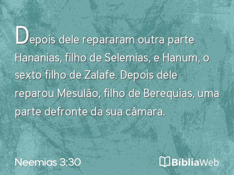 Neemias 3:30 em imagem para compartilhar