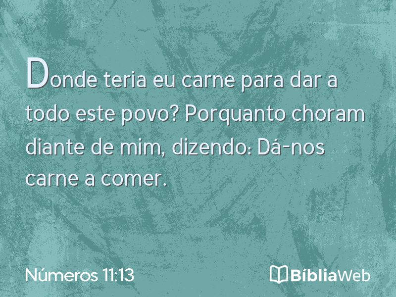 Números 11:13 em imagem para compartilhar