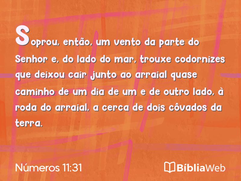Números 11:31 em imagem para compartilhar
