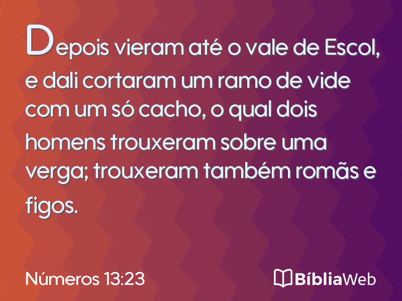 Números 13:23 em imagem para compartilhar