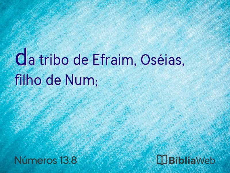 Números 13:8 em imagem para compartilhar