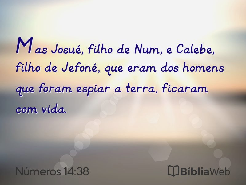 Números 14:38 em imagem para compartilhar