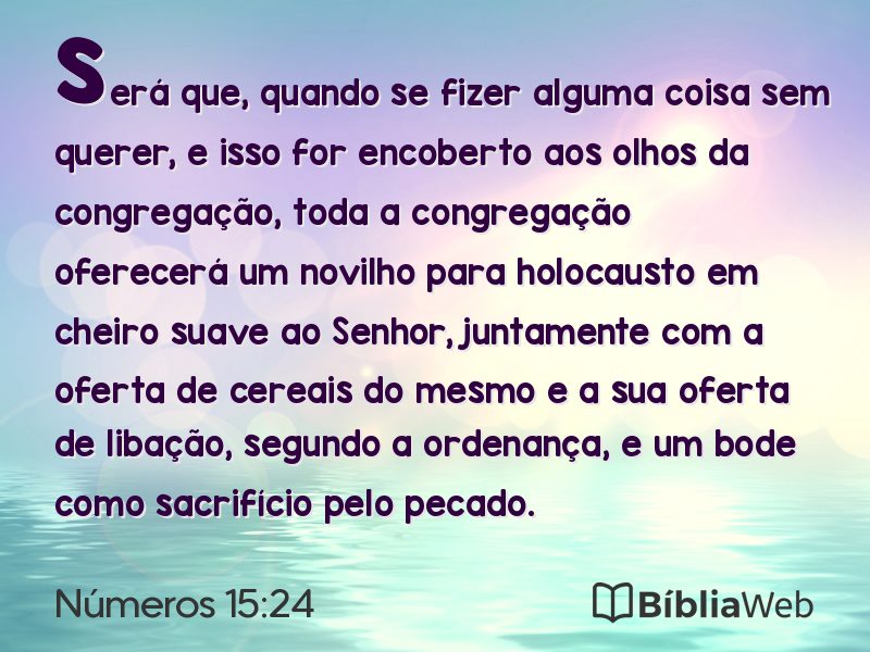 Números 15:24 em imagem para compartilhar