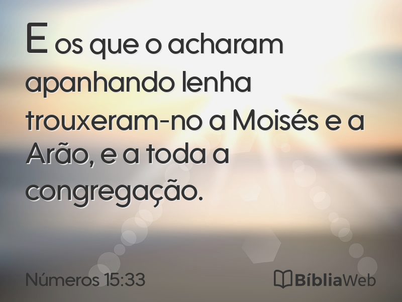 Números 15:33 em imagem para compartilhar
