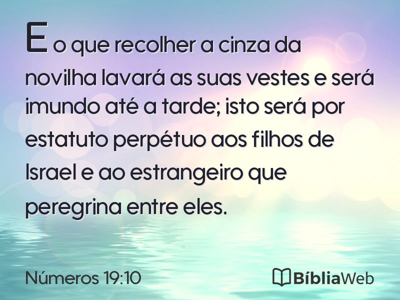 Números 19:10 em imagem para compartilhar