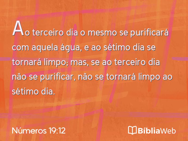 Números 19:12 em imagem para compartilhar