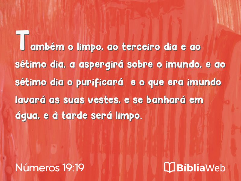 Números 19:19 em imagem para compartilhar