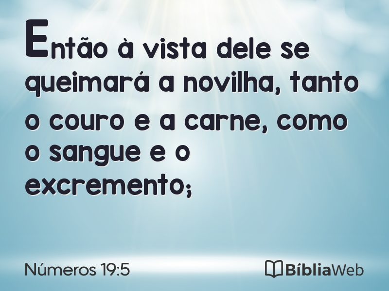 Números 19:5 em imagem para compartilhar