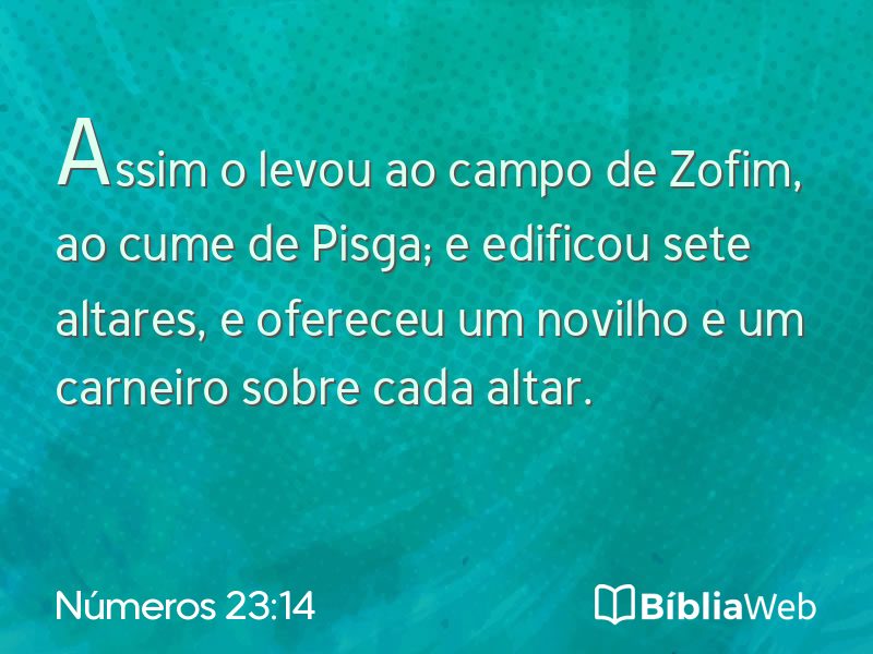Números 23:14 em imagem para compartilhar
