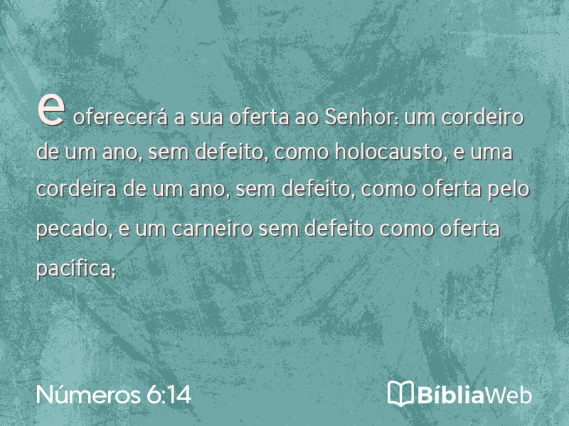 Números 6:14 em imagem para compartilhar