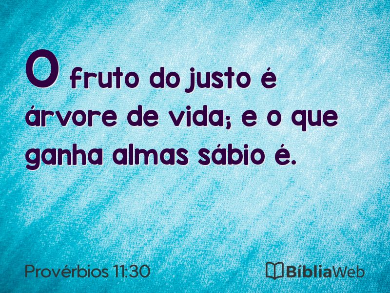 Provérbios 11:30 em imagem para compartilhar