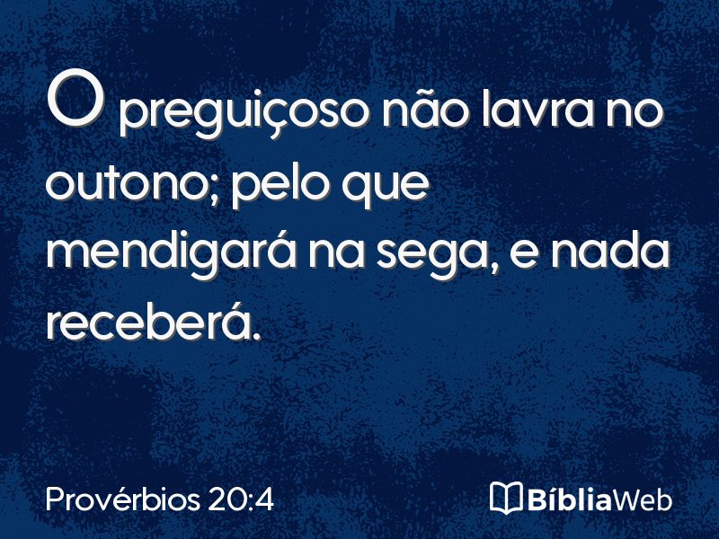 Provérbios 20:4 em imagem para compartilhar