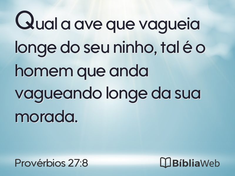Provérbios 27:8 em imagem para compartilhar