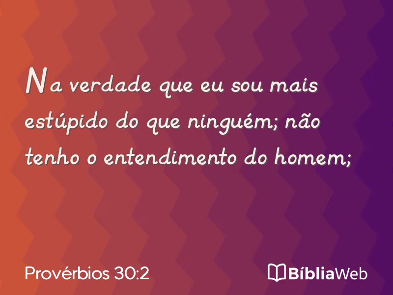 Provérbios 30:2 em imagem para compartilhar