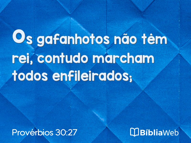 Provérbios 30:27 em imagem para compartilhar
