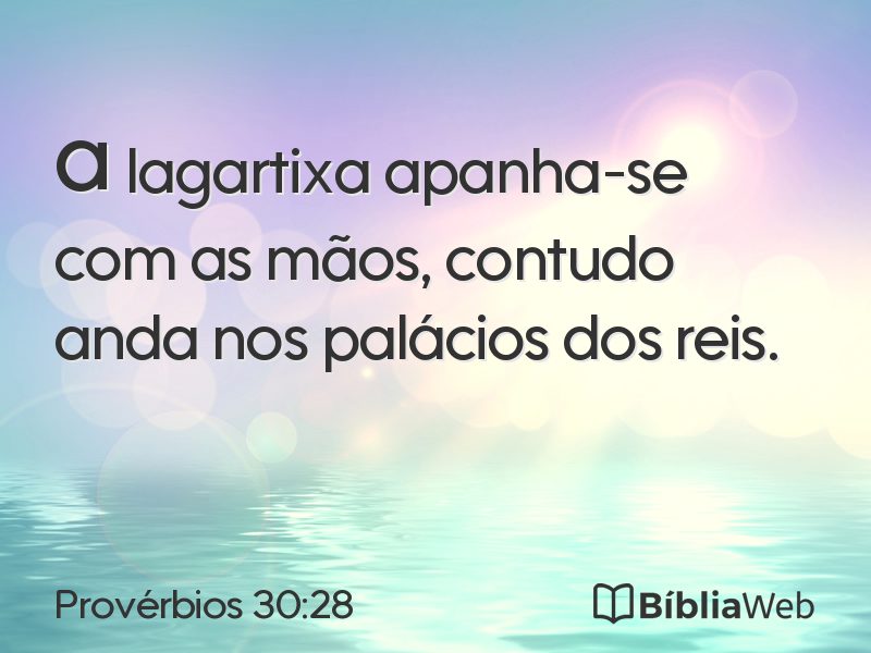 Provérbios 30:28 em imagem para compartilhar