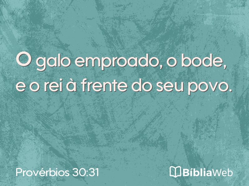Provérbios 30:31 em imagem para compartilhar