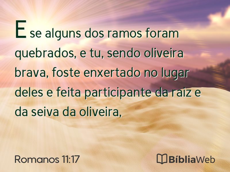 Romanos 11:17 em imagem para compartilhar