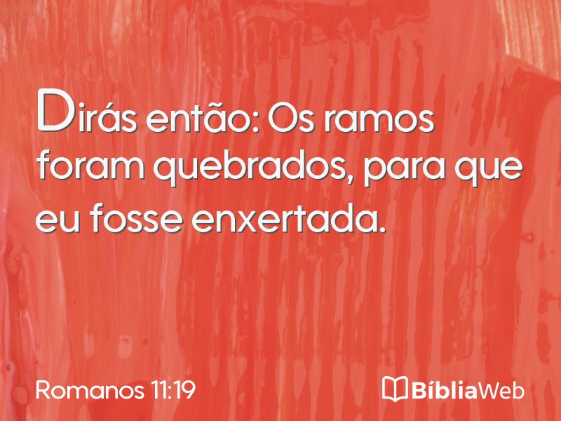Romanos 11:19 em imagem para compartilhar