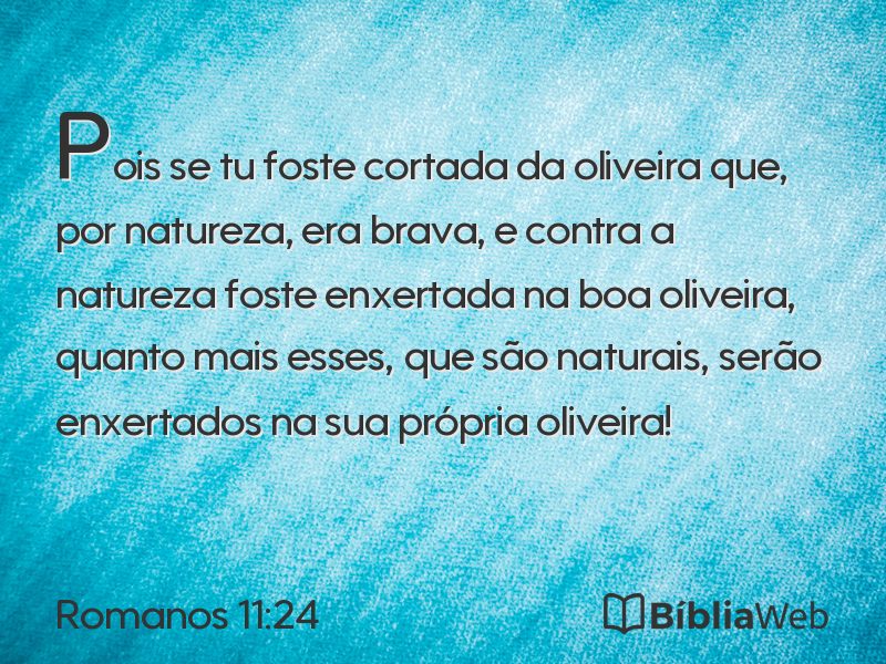 Romanos 11:24 em imagem para compartilhar