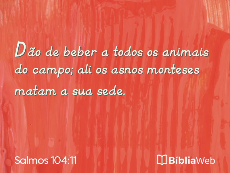 Salmos 104:11 em imagem para compartilhar