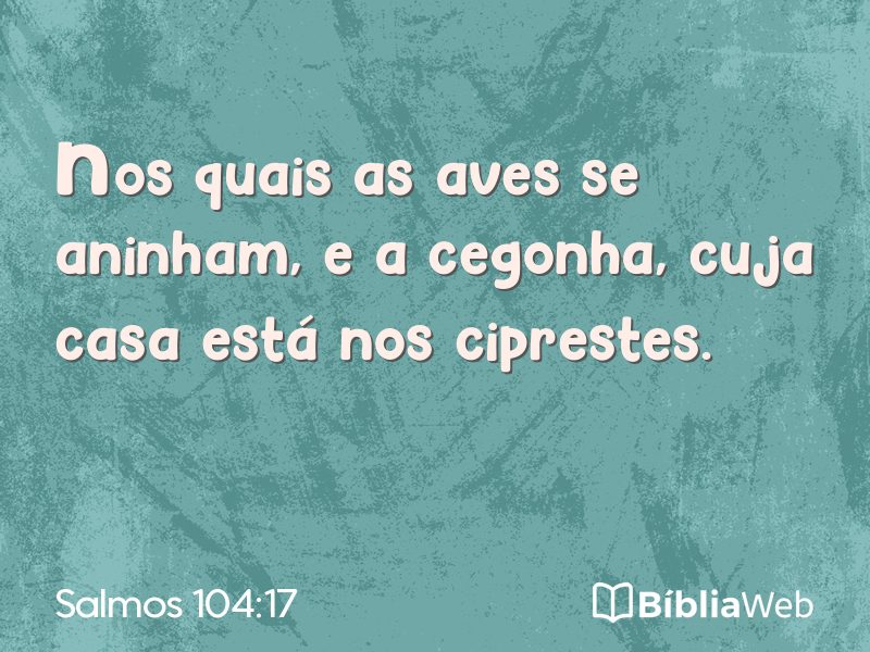 Salmos 104:17 em imagem para compartilhar