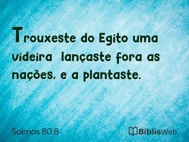Salmos 80:8 em imagem para compartilhar