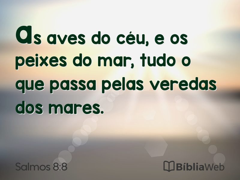 Salmos 8:8 em imagem para compartilhar