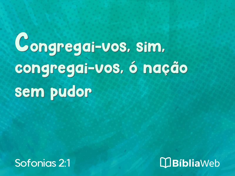 Sofonias 2:1 em imagem para compartilhar