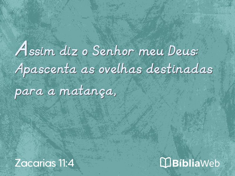 Zacarias 11:4 em imagem para compartilhar