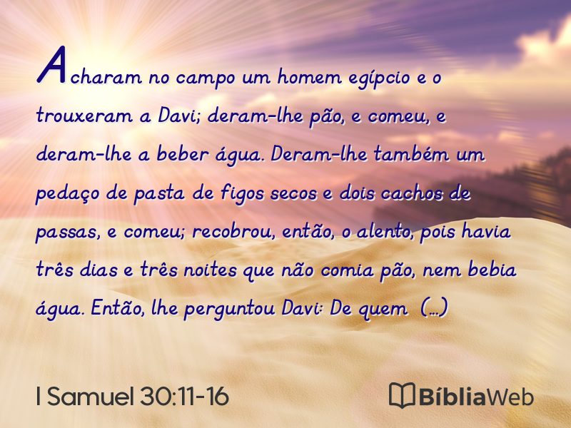 I Samuel 30:11-16 em imagem para compartilhar