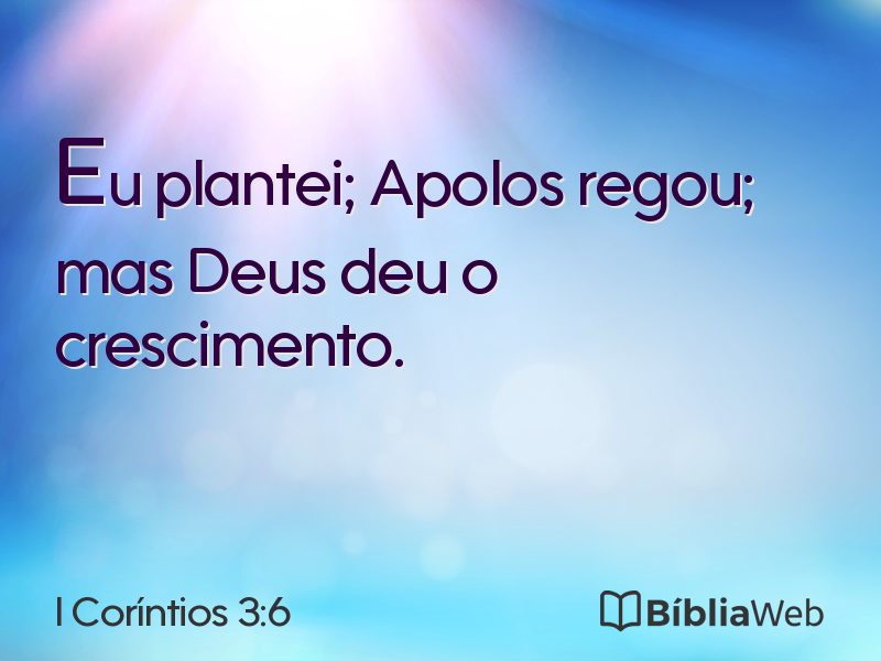 I Coríntios 3:6 em imagem para compartilhar