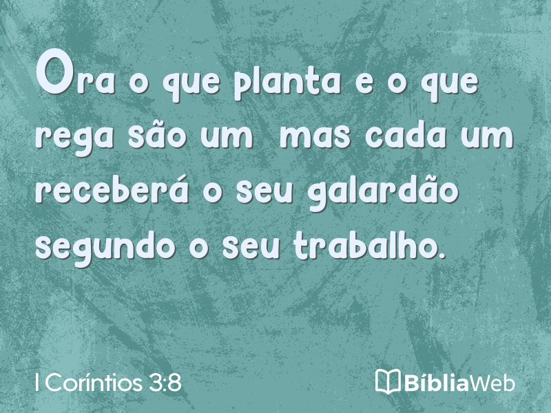 I Coríntios 3:8 em imagem para compartilhar
