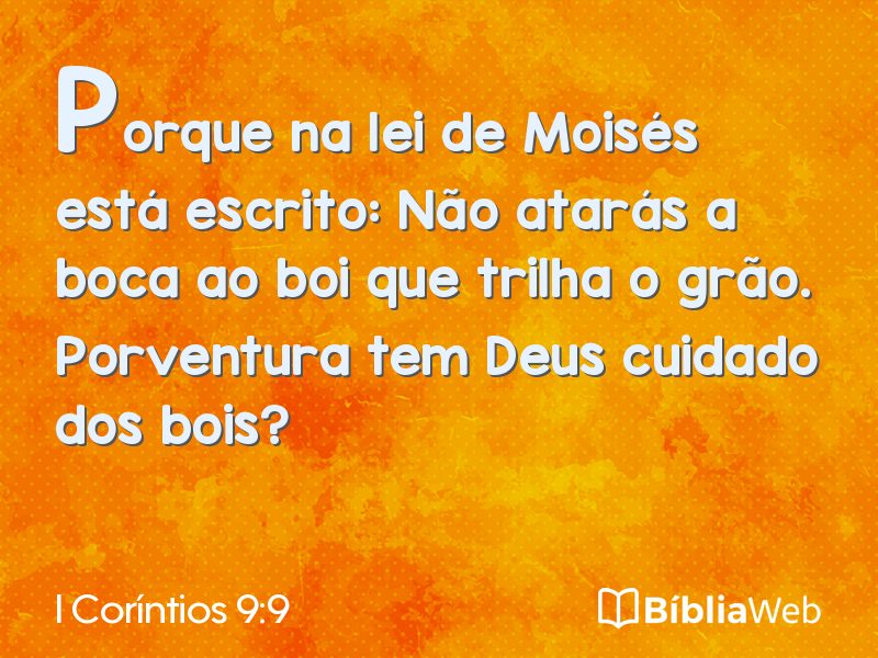 I Coríntios 9:9 em imagem para compartilhar