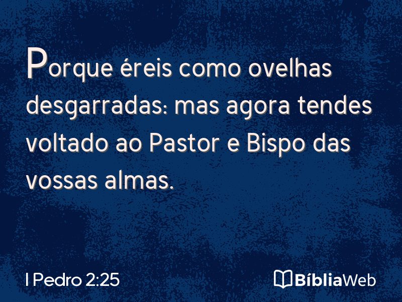 I Pedro 2:25 em imagem para compartilhar