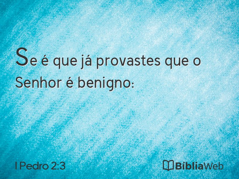 I Pedro 2:3 em imagem para compartilhar
