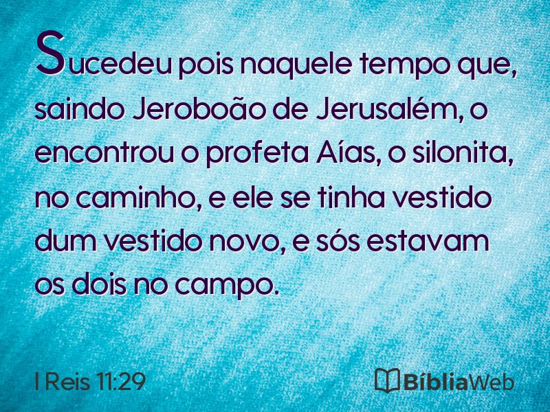 I Reis 11:29 em imagem para compartilhar