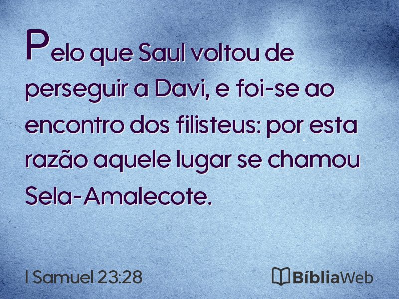 I Samuel 23:28 em imagem para compartilhar
