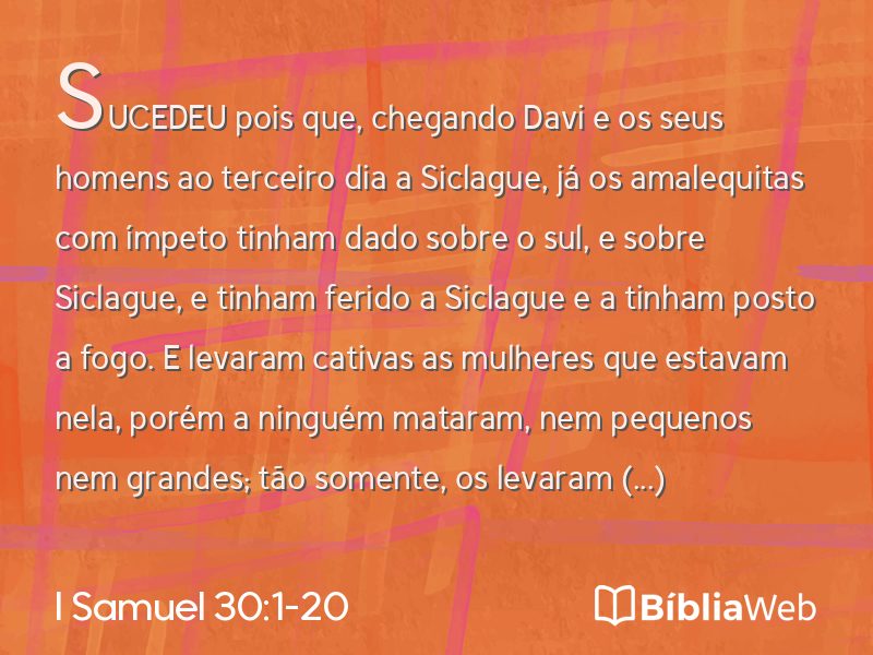 I Samuel 30:1-20 em imagem para compartilhar